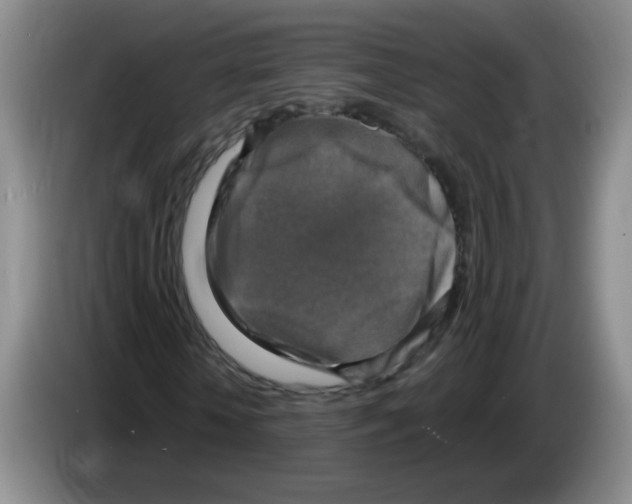 X0000083560818200703091614