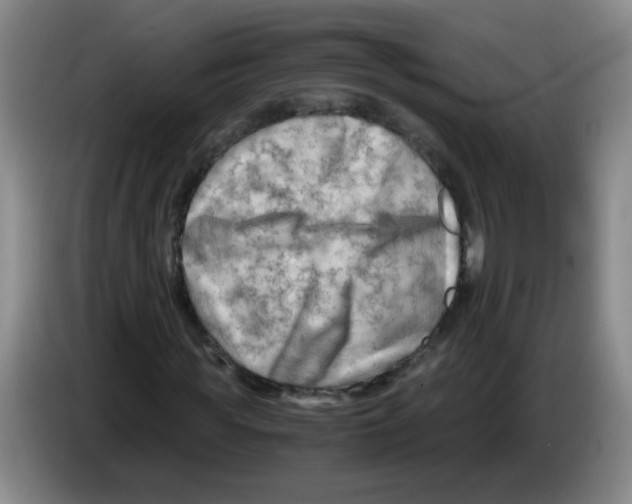 X0000083560819200703091614