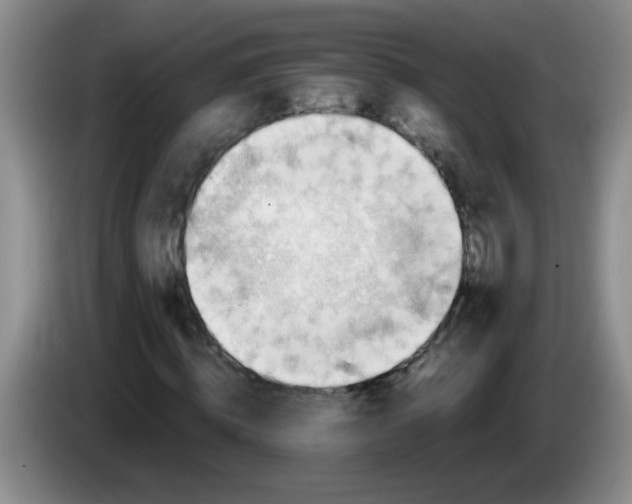 X0000083560820200703091614