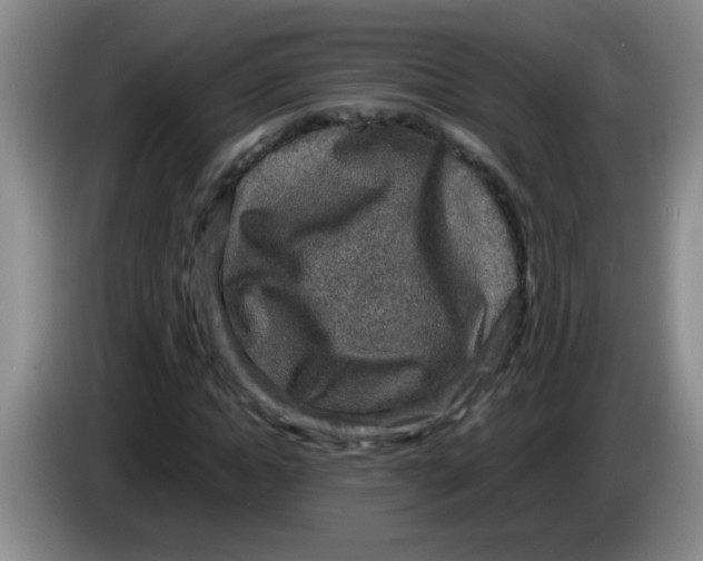 X0000083560822200703091614