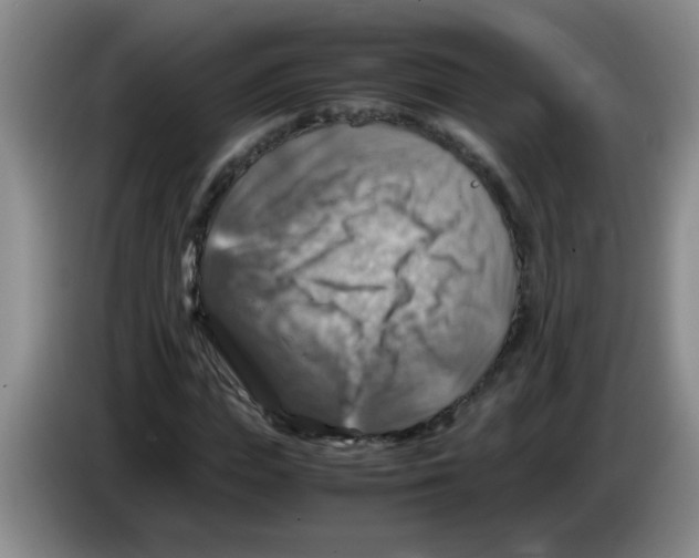 X0000083560823200703091614