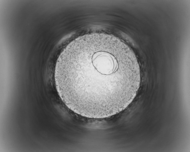 X0000083560824200703091614