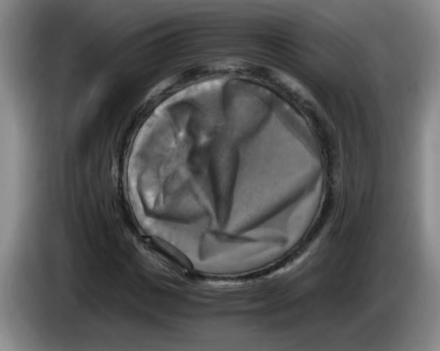 X0000083560825200703091614