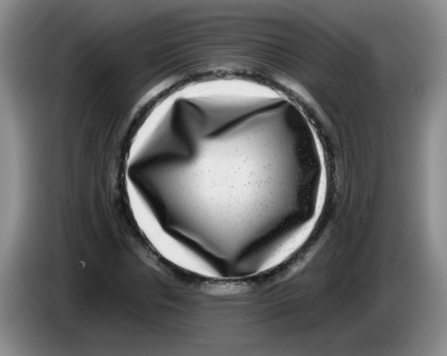 X0000083560826200703091614