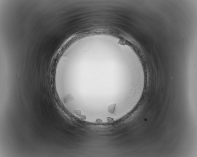 X0000083560828200703091614