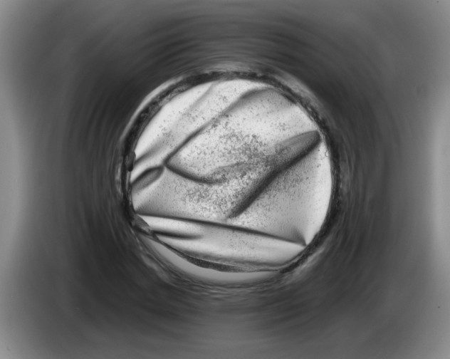 X0000083560830200703091614