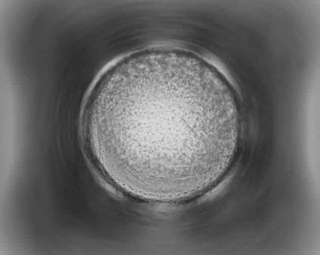 X0000083560832200703091614