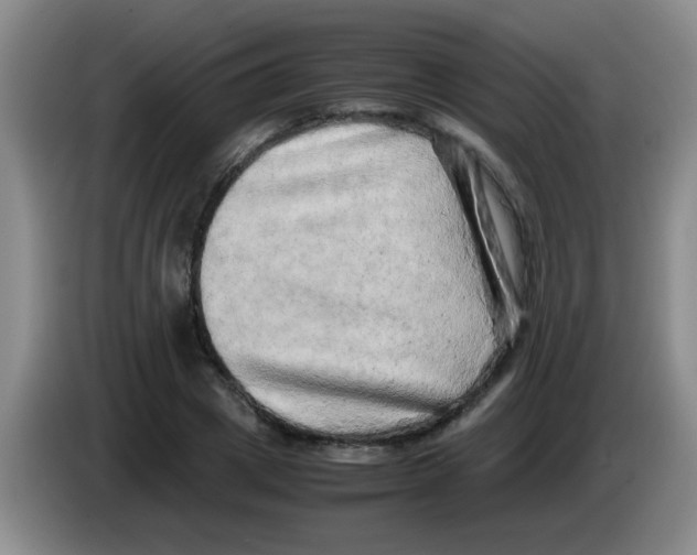 X0000083560833200703091614