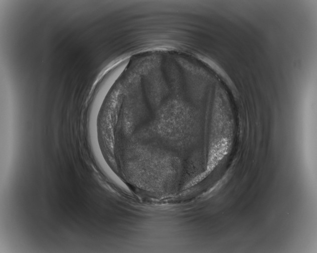 X0000083560834200703091614