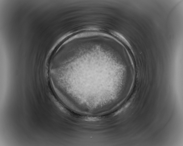 X0000083560835200703091614