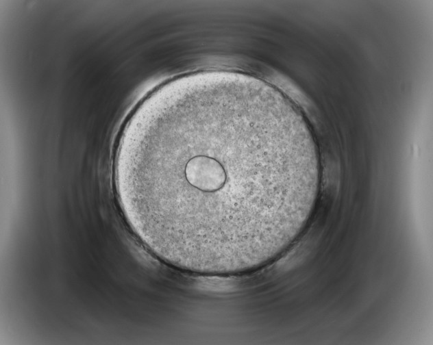 X0000083560836200703091614