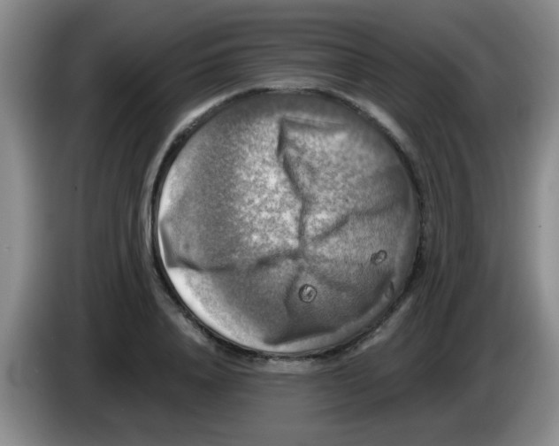 X0000083560840200703091614