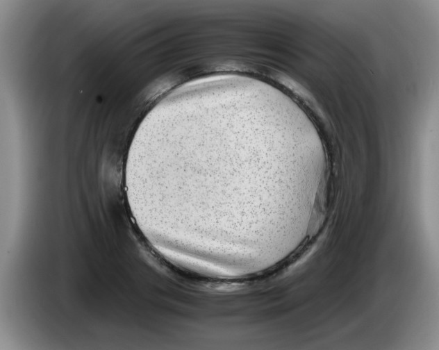 X0000083560841200703091614