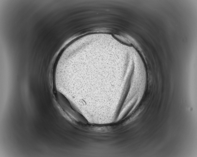 X0000083560843200703091614