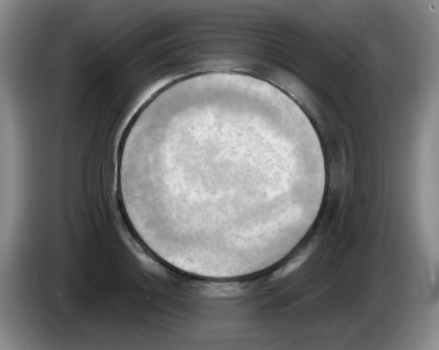 X0000083560844200703091614