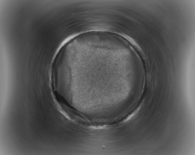 X0000083560846200703091615