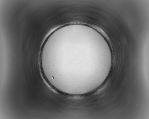 X0000083560847200703091615