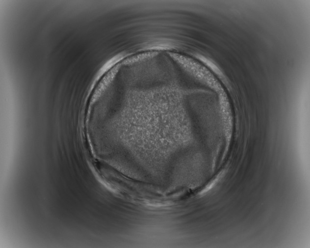 X0000083560850200703091615