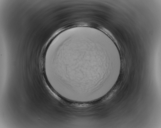 X0000083560851200703091615