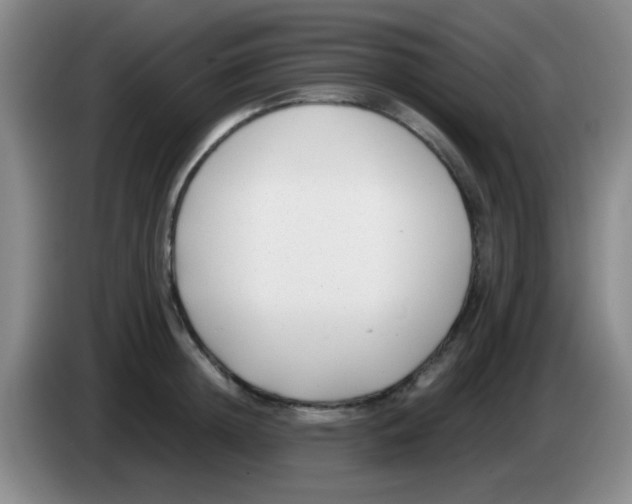 X0000083560852200703091615