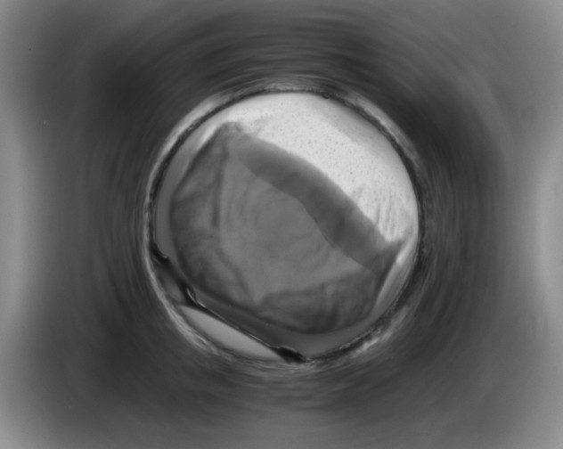 X0000083560853200703091615