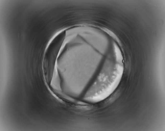 X0000083560855200703091615