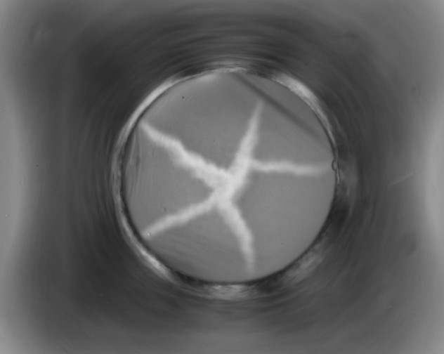 X0000083560859200703091615