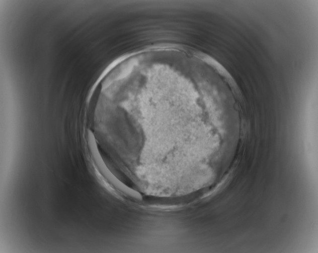 X0000083560860200703091615