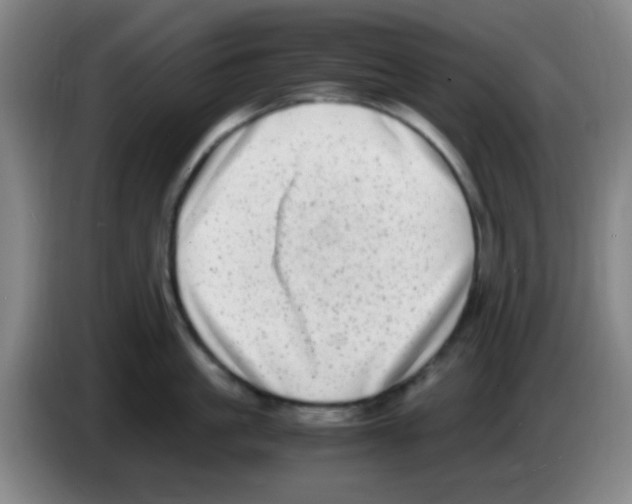 X0000083560861200703091615