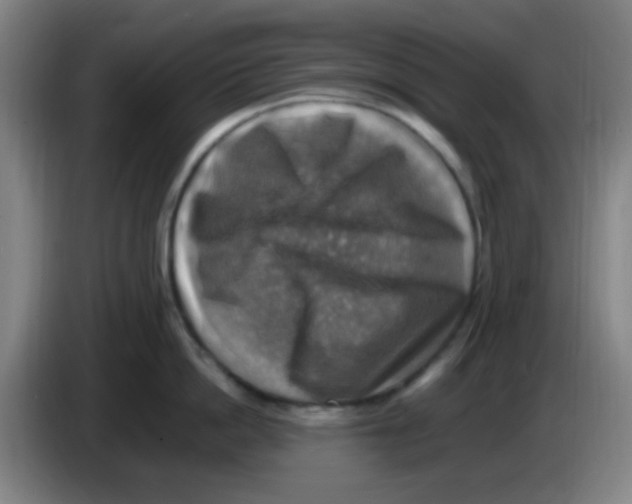 X0000083560862200703091615