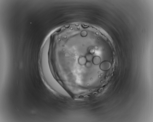 X0000083560863200703091615