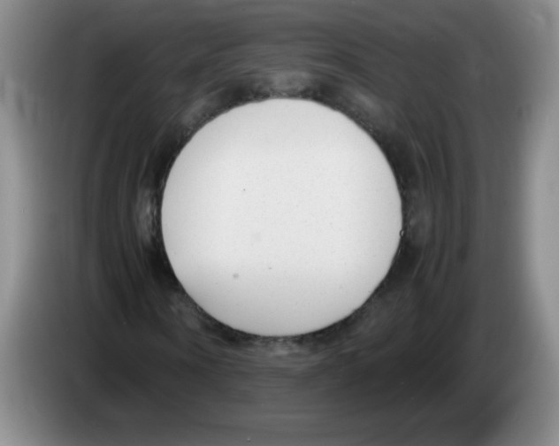 X0000083560866200703091614