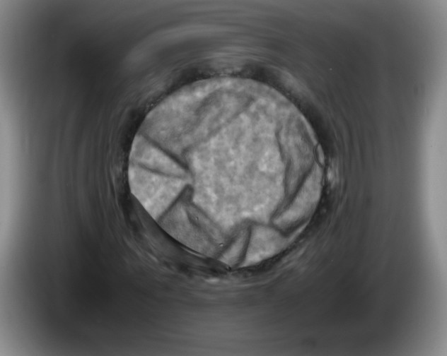 X0000083560867200703091614