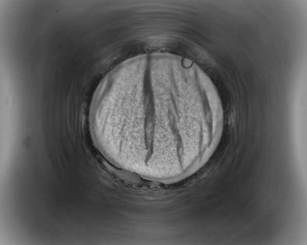 X0000083560868200703091614