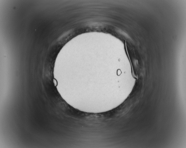 X0000083560869200703091614