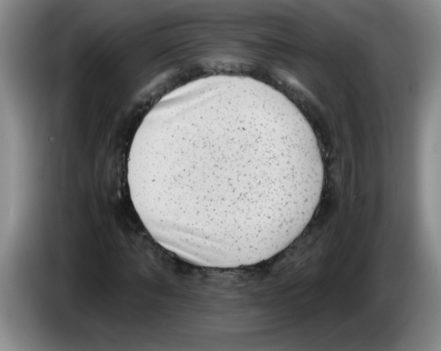 X0000083560870200703091614