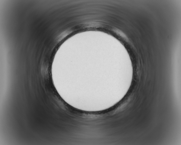 X0000083560873200703091614