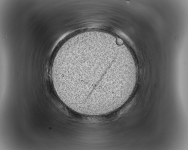 X0000083560875200703091614