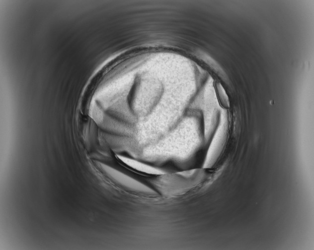 X0000083560876200703091614