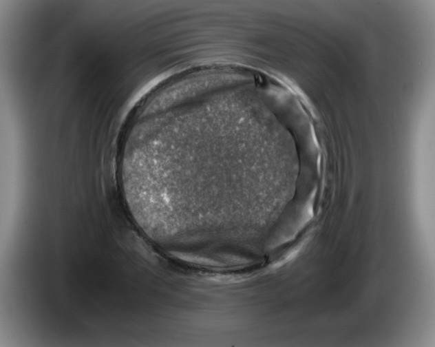 X0000083560877200703091614