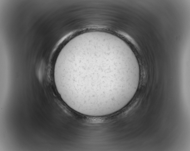 X0000083560878200703091614