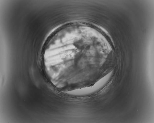 X0000083560879200703091614