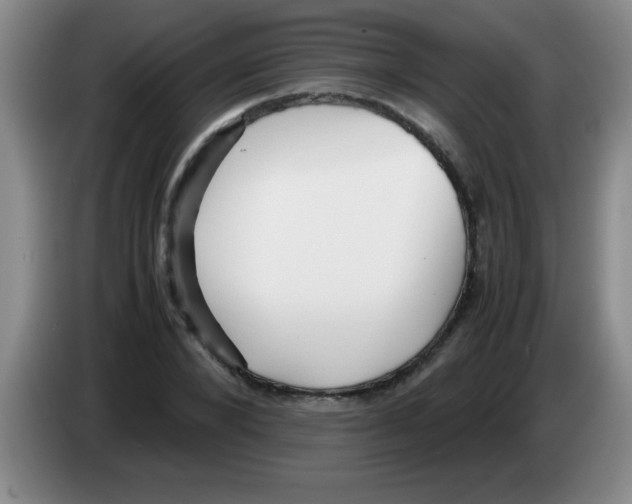 X0000083560880200703091614