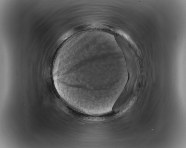 X0000083560881200703091614