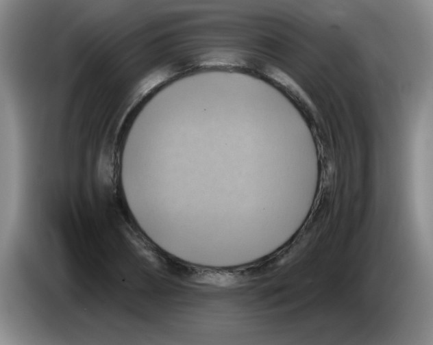 X0000083560882200703091614