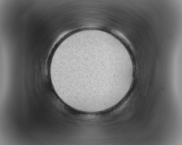 X0000083560883200703091614