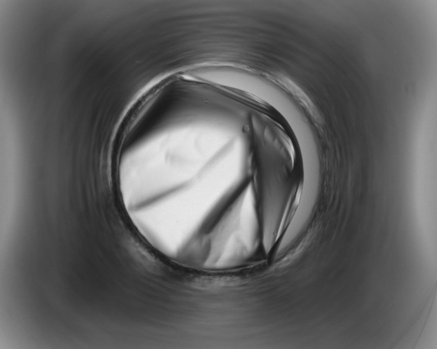 X0000083560884200703091614