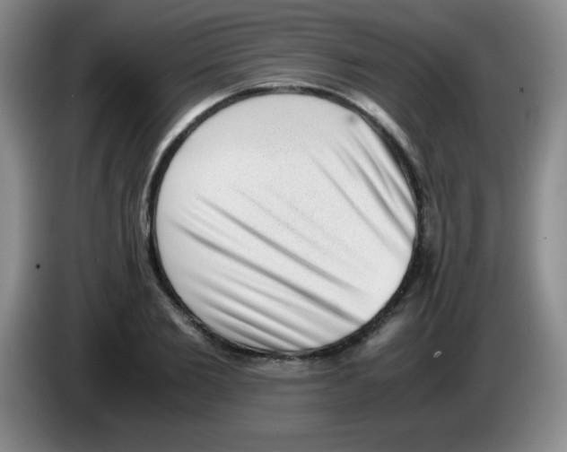 X0000083560885200703091614