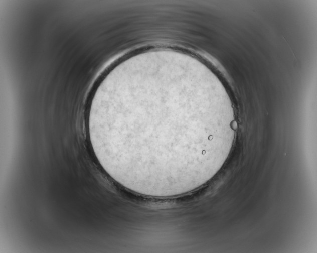 X0000083560887200703091614