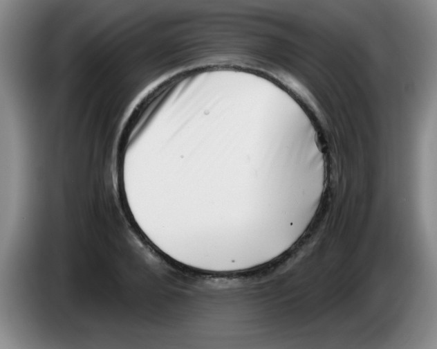 X0000083560888200703091614